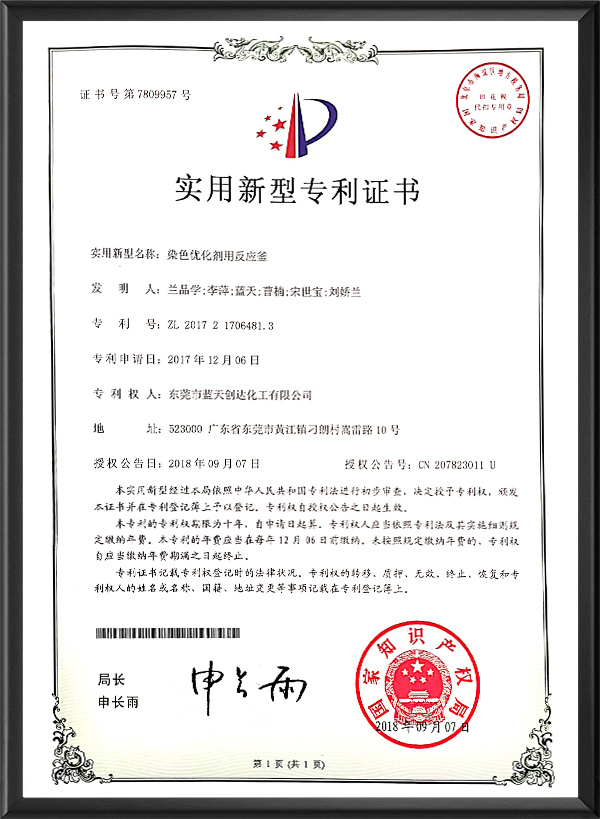 专利证书3