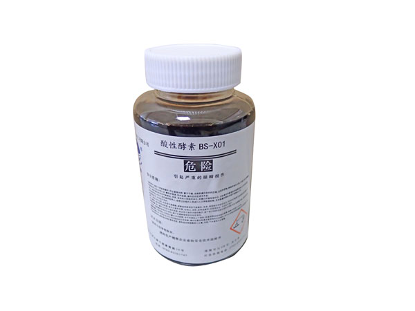 酸性酵素BS-X01